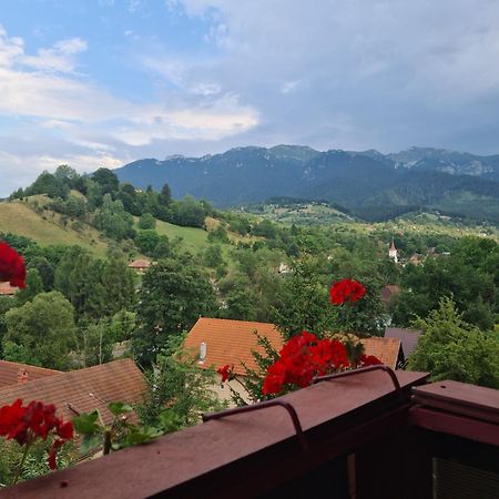 Vila Muntii Bucegi & Spa Bran  Dış mekan fotoğraf