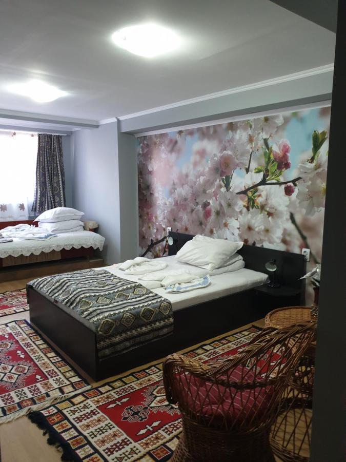 Vila Muntii Bucegi & Spa Bran  Dış mekan fotoğraf