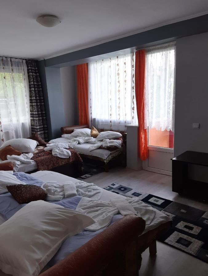 Vila Muntii Bucegi & Spa Bran  Dış mekan fotoğraf