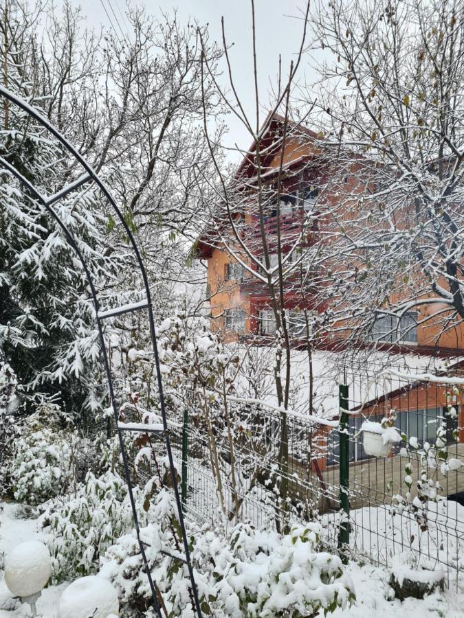 Vila Muntii Bucegi & Spa Bran  Dış mekan fotoğraf