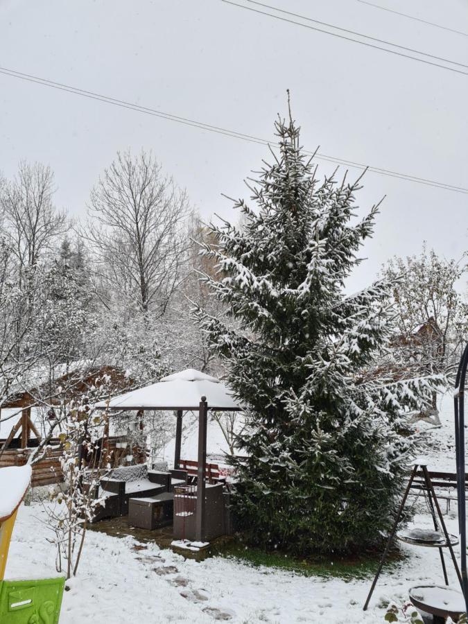 Vila Muntii Bucegi & Spa Bran  Dış mekan fotoğraf