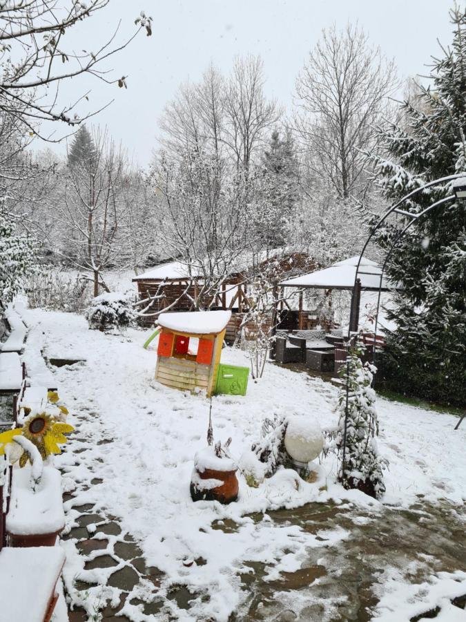Vila Muntii Bucegi & Spa Bran  Dış mekan fotoğraf