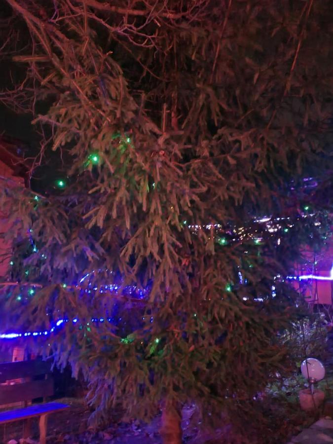 Vila Muntii Bucegi & Spa Bran  Dış mekan fotoğraf