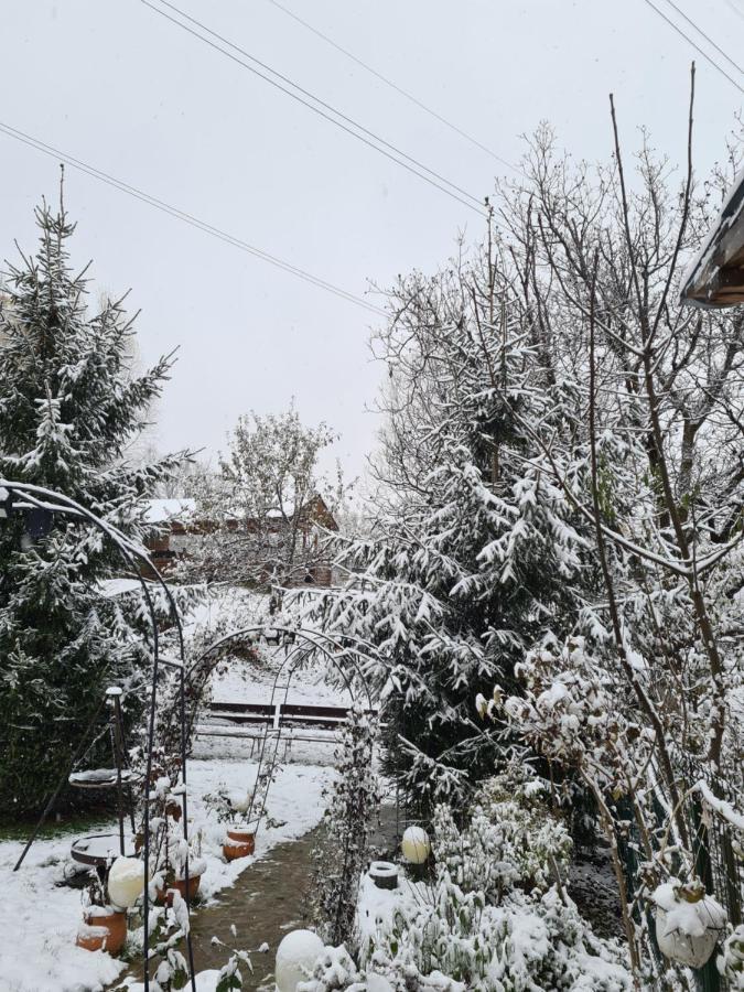 Vila Muntii Bucegi & Spa Bran  Dış mekan fotoğraf