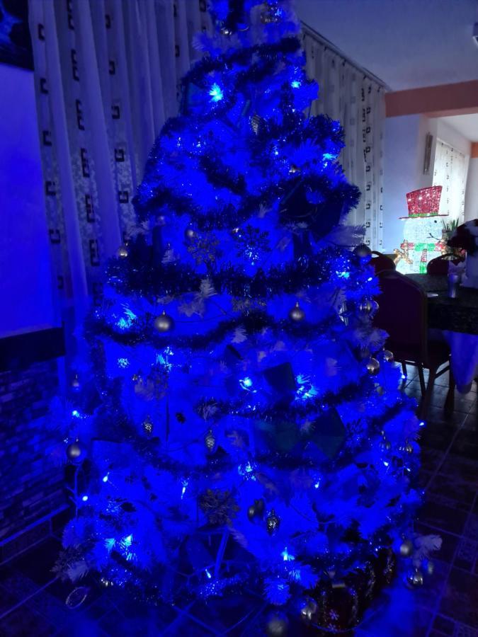 Vila Muntii Bucegi & Spa Bran  Dış mekan fotoğraf
