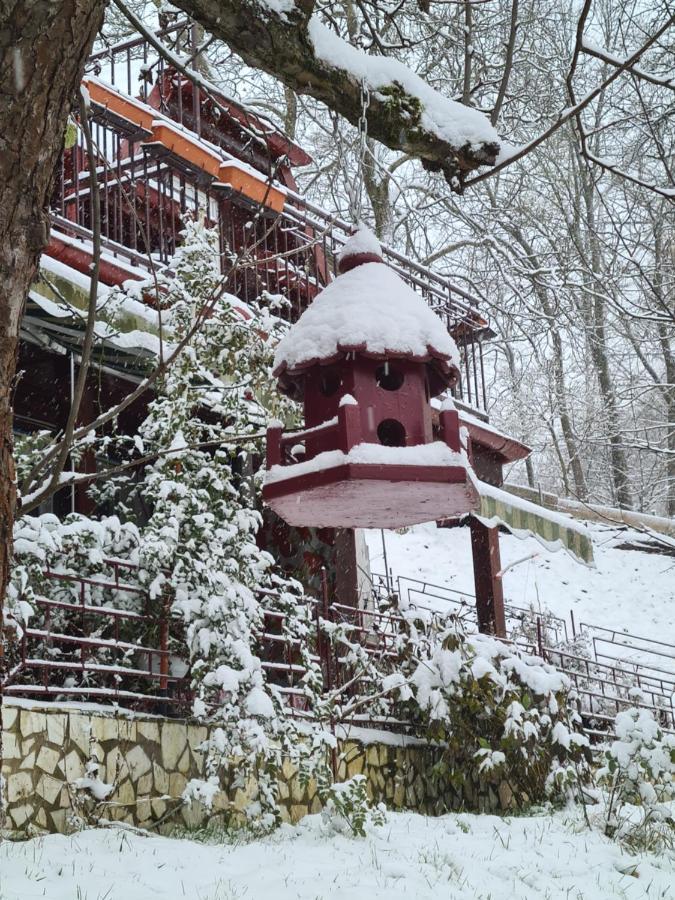 Vila Muntii Bucegi & Spa Bran  Dış mekan fotoğraf