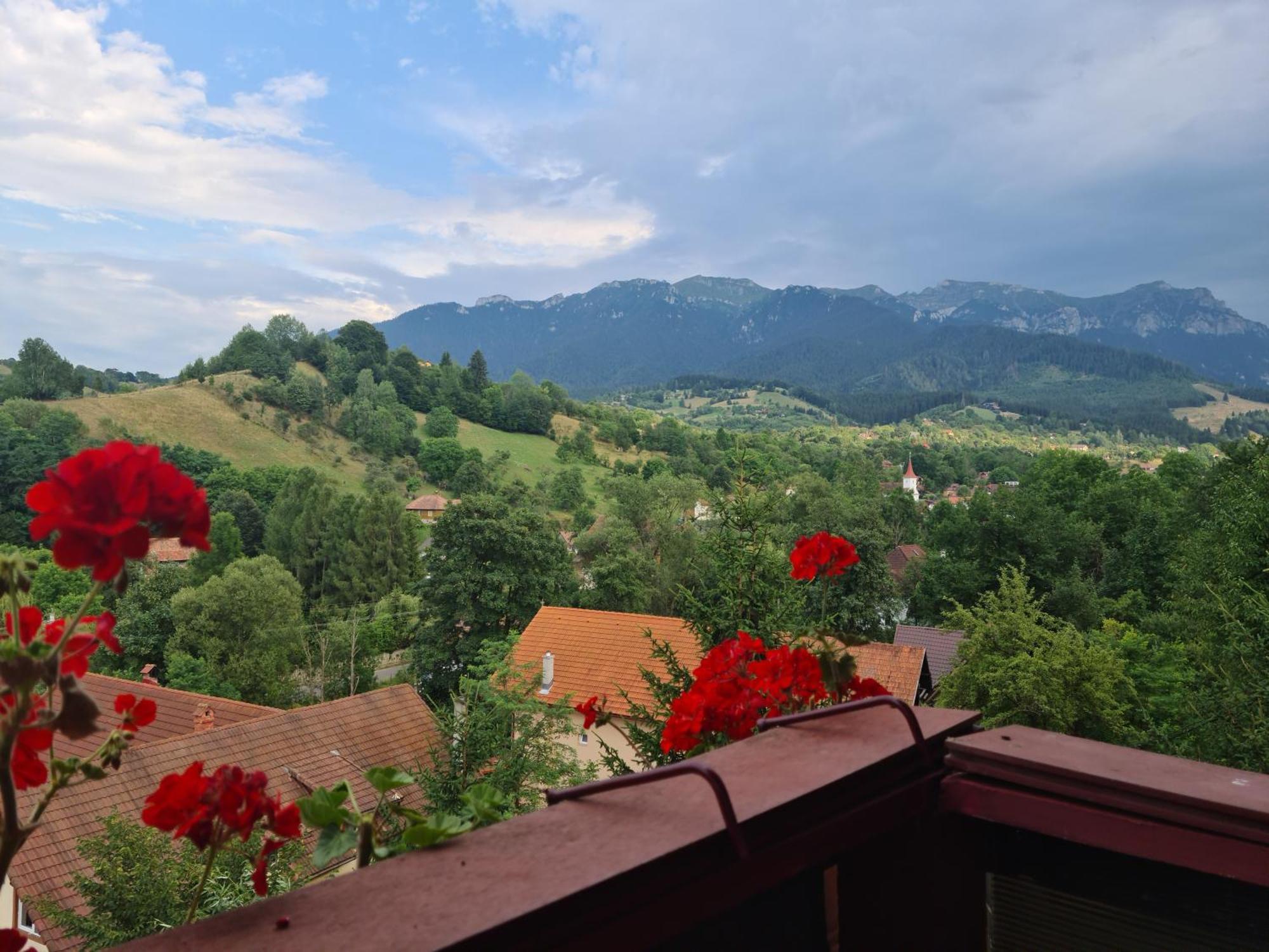 Vila Muntii Bucegi & Spa Bran  Dış mekan fotoğraf