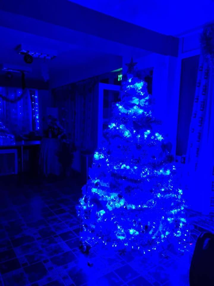 Vila Muntii Bucegi & Spa Bran  Dış mekan fotoğraf