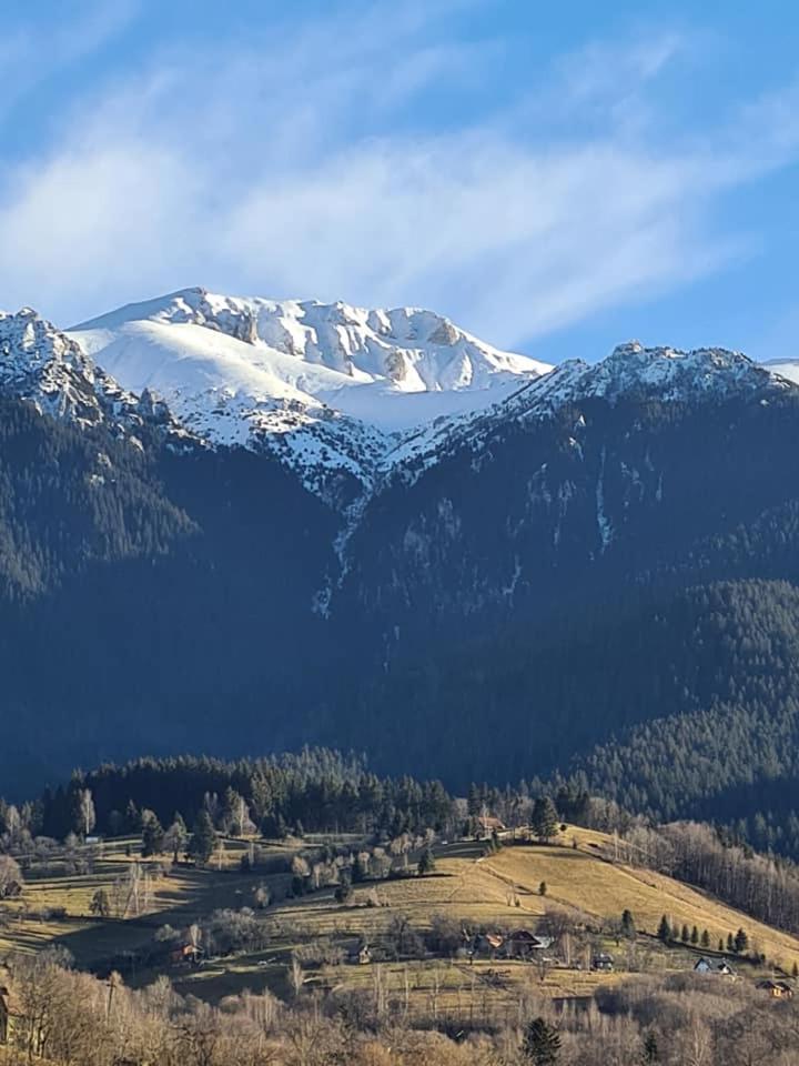 Vila Muntii Bucegi & Spa Bran  Dış mekan fotoğraf