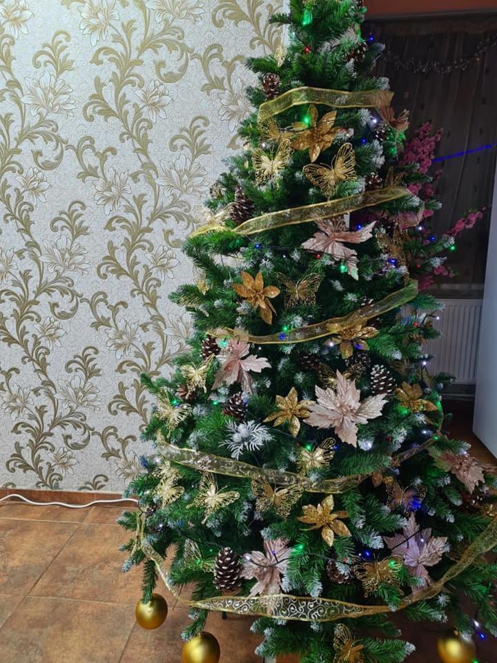 Vila Muntii Bucegi & Spa Bran  Dış mekan fotoğraf