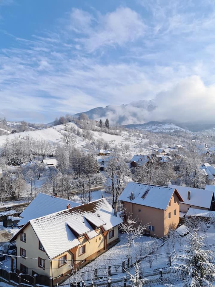 Vila Muntii Bucegi & Spa Bran  Dış mekan fotoğraf