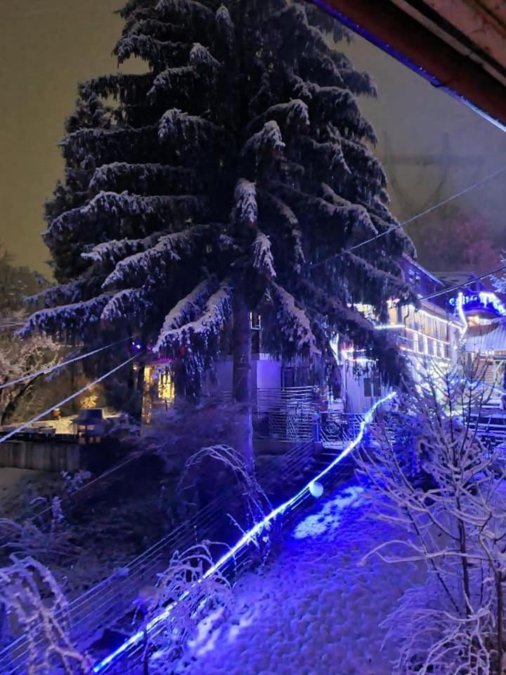 Vila Muntii Bucegi & Spa Bran  Dış mekan fotoğraf