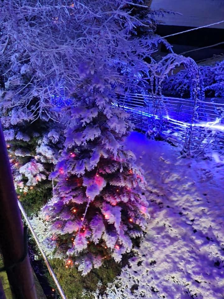 Vila Muntii Bucegi & Spa Bran  Dış mekan fotoğraf